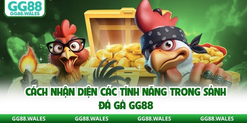 Cách nhận diện các tính năng trong sảnh đá gà GG88
