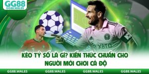 Kèo Tỷ Số Là Gì? Kiến Thức Chuẩn Cho Người Mới Chơi Cá Độ
